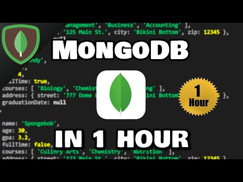 Learn MongoDB in 1 Hour 🍃