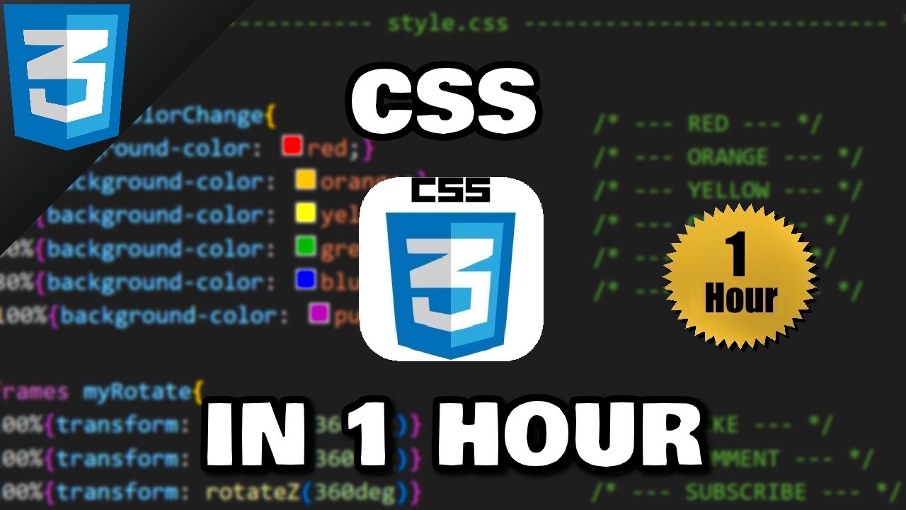 Read more about the article Learn CSS in 1 hour 🎨